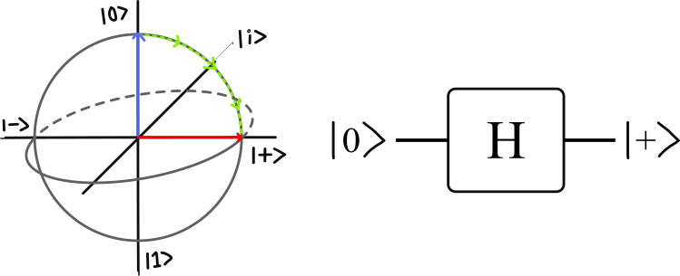 hadamards